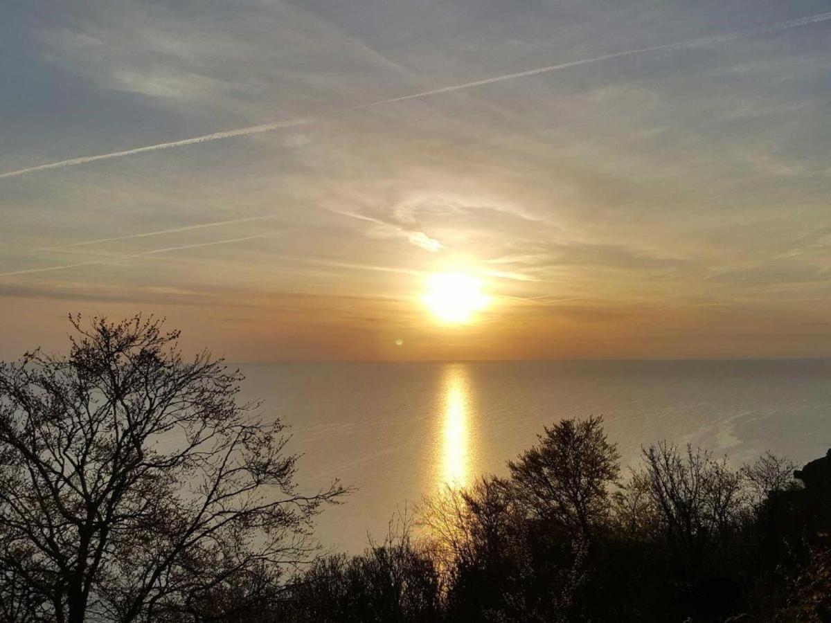 Babbacombe Palms Hotel Torquay Kültér fotó